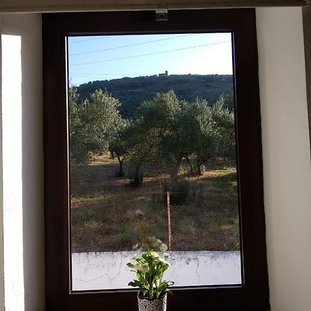 Casa Rural Ventanas A La Sierra 伊格拉德拉谢拉 外观 照片